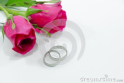 Pink Rose, Engage ring with love in Valentines Day Stock Photo