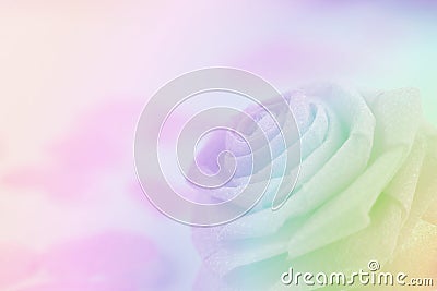 Pink rose fabric flower and small hart on white background Stock Photo