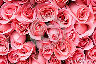 pink rose flower bouquet Stock Photo