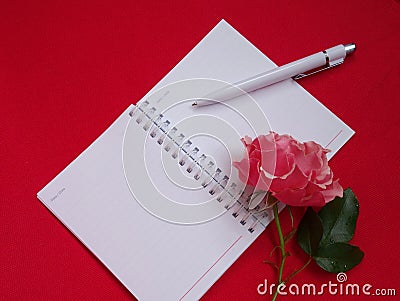 Pink rose flower and open notebook on magenta background Stock Photo