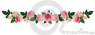 Pink rose flowers and buds line arrangement Stock Photo