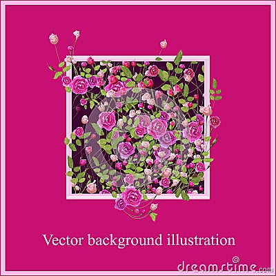 Pink rose flowers with leaves. Background illustration. Vector Illustration