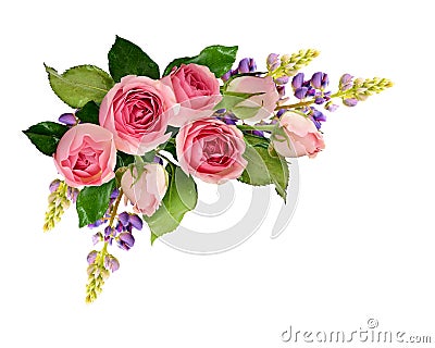 Pink rose flowers and purple lupines corner composition Stock Photo