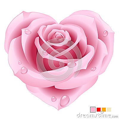 Pink Rose in the shape of heart Vector Illustration