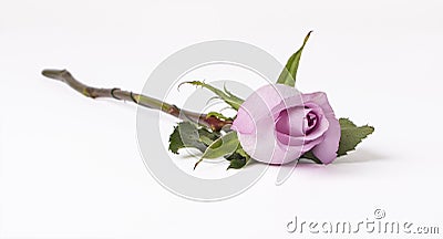 Pink Rose Stock Photo