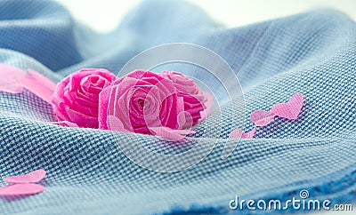 Pink rose and small hart on blue cloth background Stock Photo