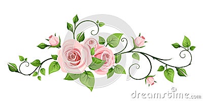 Pink rose vine. Vector illustration. Vector Illustration