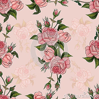 Pink rose vintage styles seamless pattern Vector Illustration