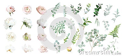 Pink rose, white peony, magnolia, blush pink ranunculus, eucalyptus, hellebore, orchid, greenery vector design spring Vector Illustration