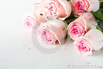 Pink rose at white stone table. Stock Photo