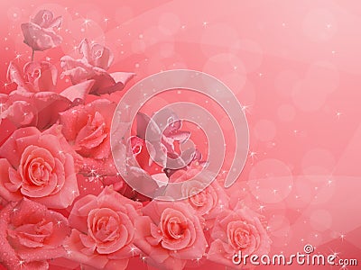 Pink roses Stock Photo