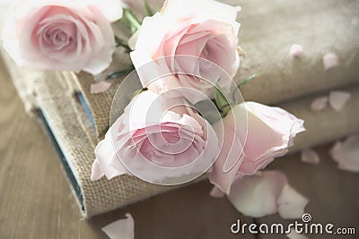 Pink Roses On Books Stock Photo