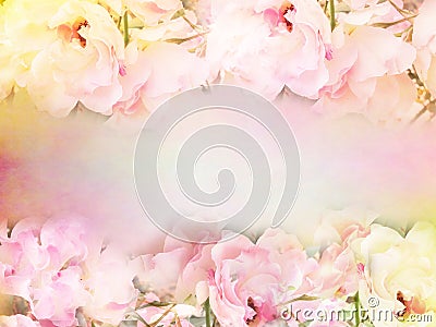 pink roses flower border and frame in vintage color for valentine background Stock Photo