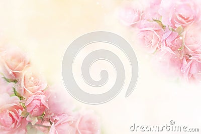 Pink roses flower border soft background for valentine Stock Photo