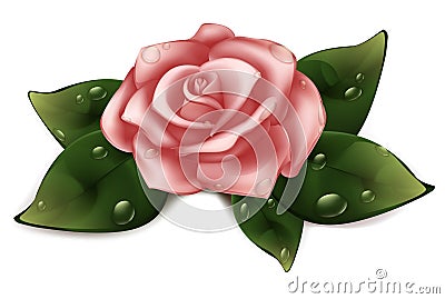 Pink roses with green leaves in the shape of heart illustration Vector Illustration