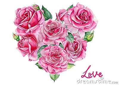 Pink roses, Heart of flower on white background, watercolor illustration, valentine's day Cartoon Illustration