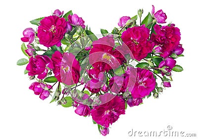 Pink roses heart isolated Stock Photo