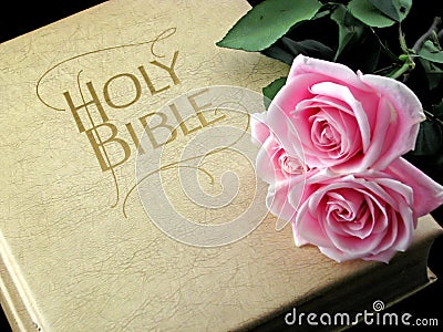 Pink roses on holy bible Stock Photo