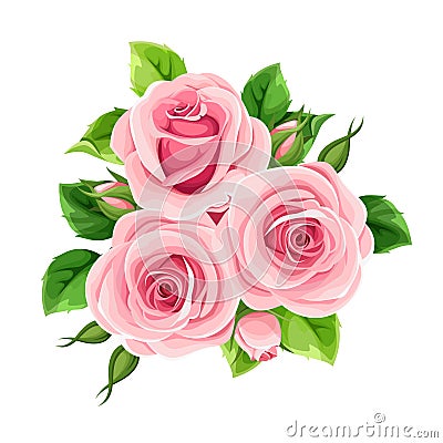 Pink roses isolated on white. Vector illustration. Vector Illustration