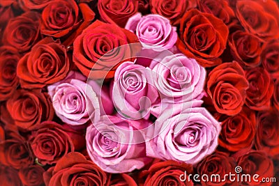 A Heart of Pink Roses among Red Roses Stock Photo