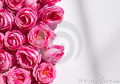 Pink roses on soft silk background Stock Photo