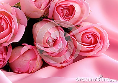 Pink roses on soft silk background Stock Photo