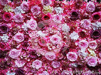 Pink roses - a wall decorated with pink roses Stock Photo