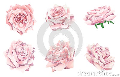 pink roses water color Stock Photo