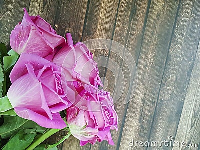Pink roses on a wooden retro text space beauty Stock Photo