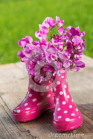Pink rubber boots Stock Photo