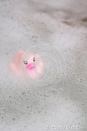 Pink Rubber Duck Stock Photo