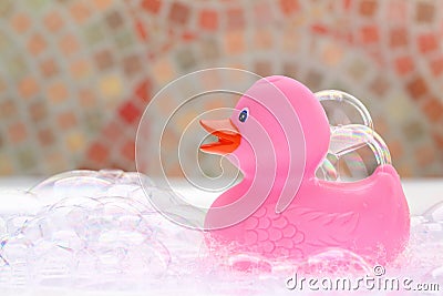 Pink rubber duck Stock Photo