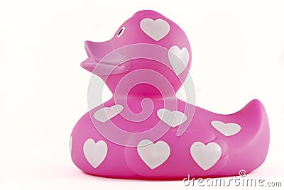 Pink rubber ducky Stock Photo