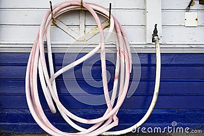 Pink rubber hose against blue wall for vehicle washing Stock Photo