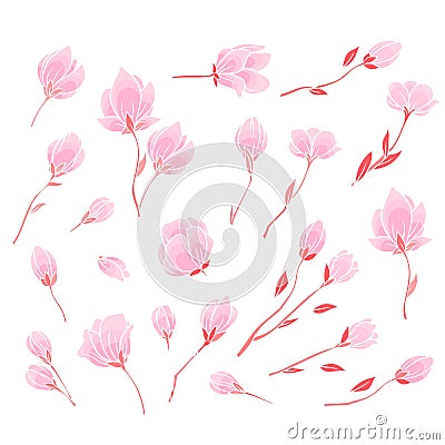 Pink Sakura blossom Vector Illustration