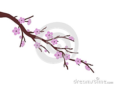 Pink sakura cherry blossom branch spring illustration white background Cartoon Illustration