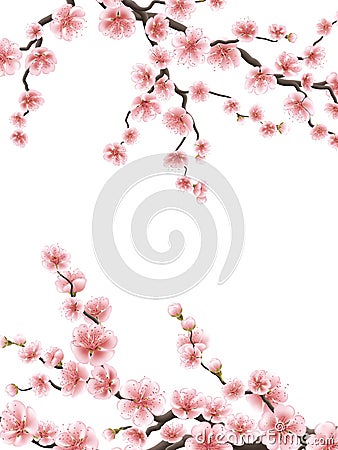 Pink sakura cherry blossoms. EPS 10 Vector Illustration