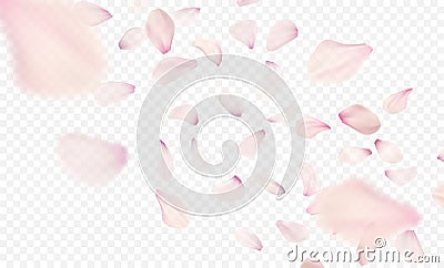 Pink sakura falling petals background. Vector illustration Vector Illustration