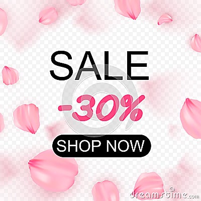 Pink sakura falling petals in circle vector background Vector Illustration