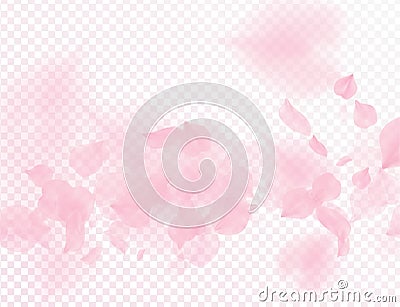 Pink sakura flower falling petals vector transparent background. 3D romantic valentines day illustration. Spring tender light Vector Illustration