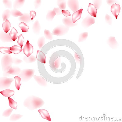Pink sakura flower flying petals isolated Vector Illustration