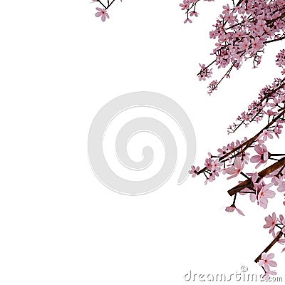 Pink Sakura Frame Cherry Blossom. Realistic 3D Render. Isolated On White Background Stock Photo