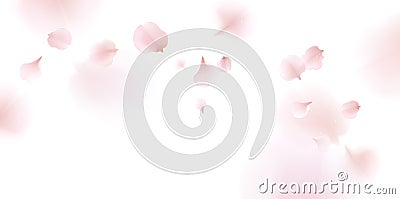 Pink sakura petals falling background Vector Illustration