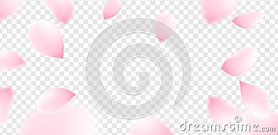 Pink sakura petals falling flower vector isolated background. Romantic blossom sakura flower petals Vector Illustration