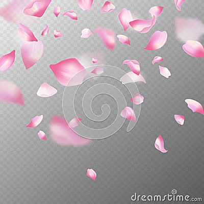 Pink sakura petals. Realistic pink falling cherry petals, spring blossom tree. Romantic floral decoration japanese Vector Illustration