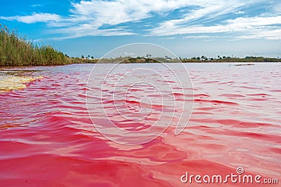 Pink salt lake La Salinas de La Mata of Torrevieja Stock Photo