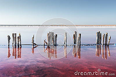 Pink salt lake water with wooden posts Stock Photo