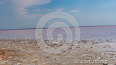 Pink salt water, landscape sea salt, created from microscopic unicellular algae secretes betacaratin minerals grown by Stock Photo