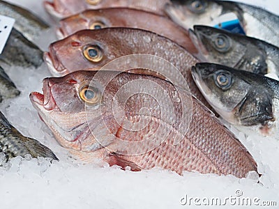 Pink seabream (Argyrops spinifer) Stock Photo