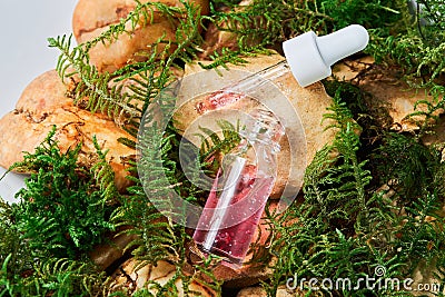 Pink serum in a transparent glass bottle on natural moss and stone background. Stock Photo